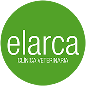 El Arca Veterinaria